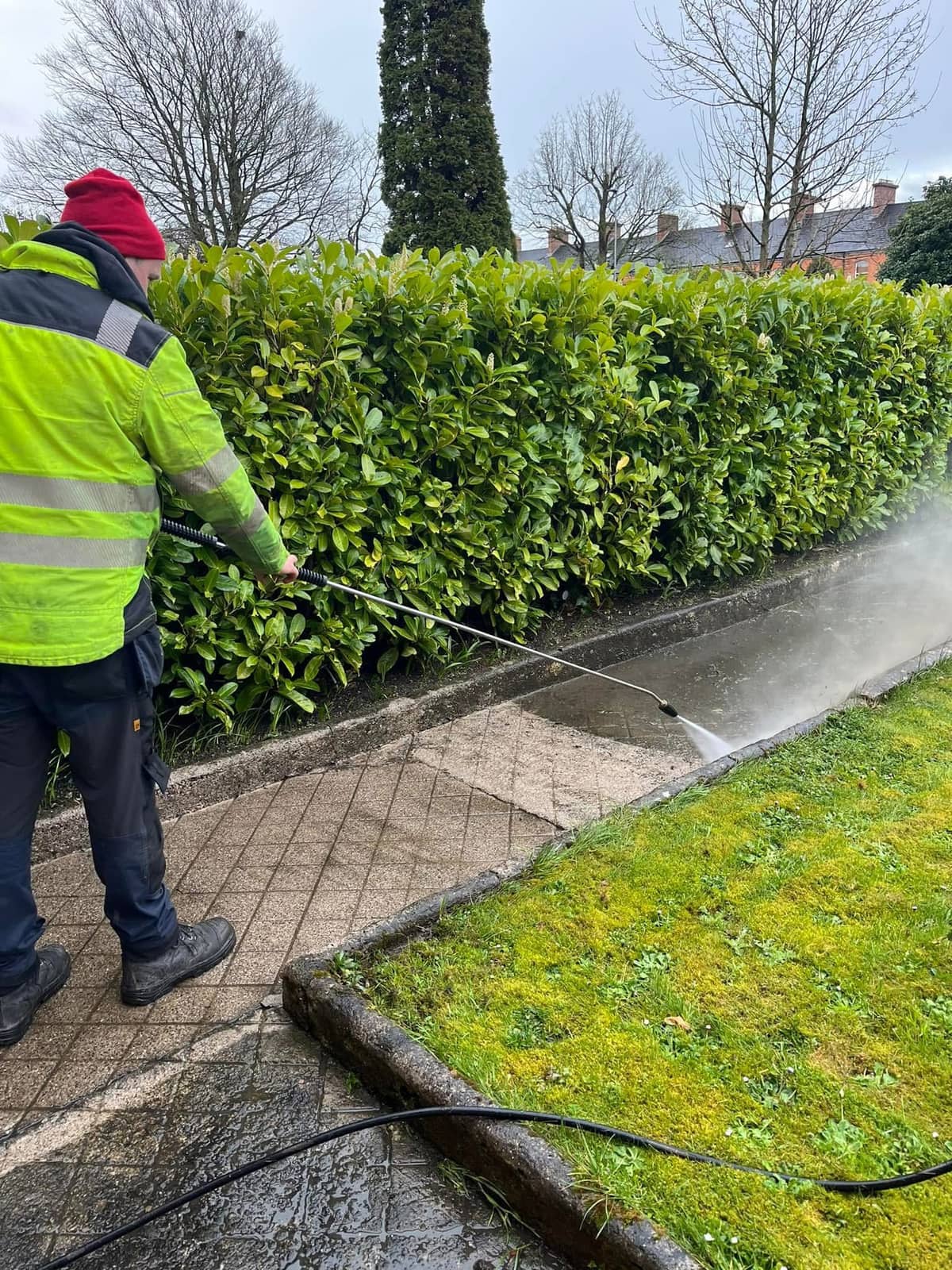 Footpath being power washed alongside a hedge