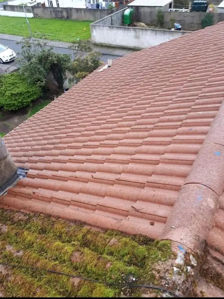 Roof tiles during a roof clean, moss removal
